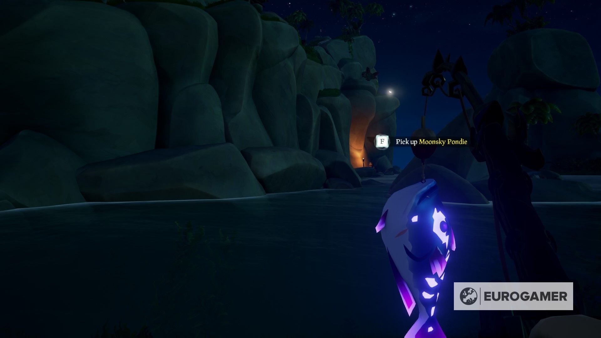 Sea of Thieves fishing guide How to catch fish, sell fish and find